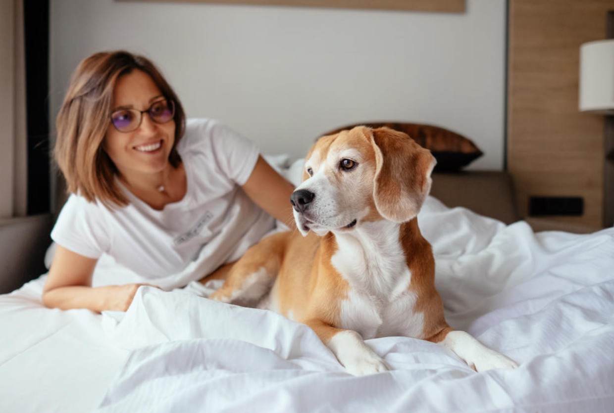 Pet-Friendly-Hotels-in-Linz